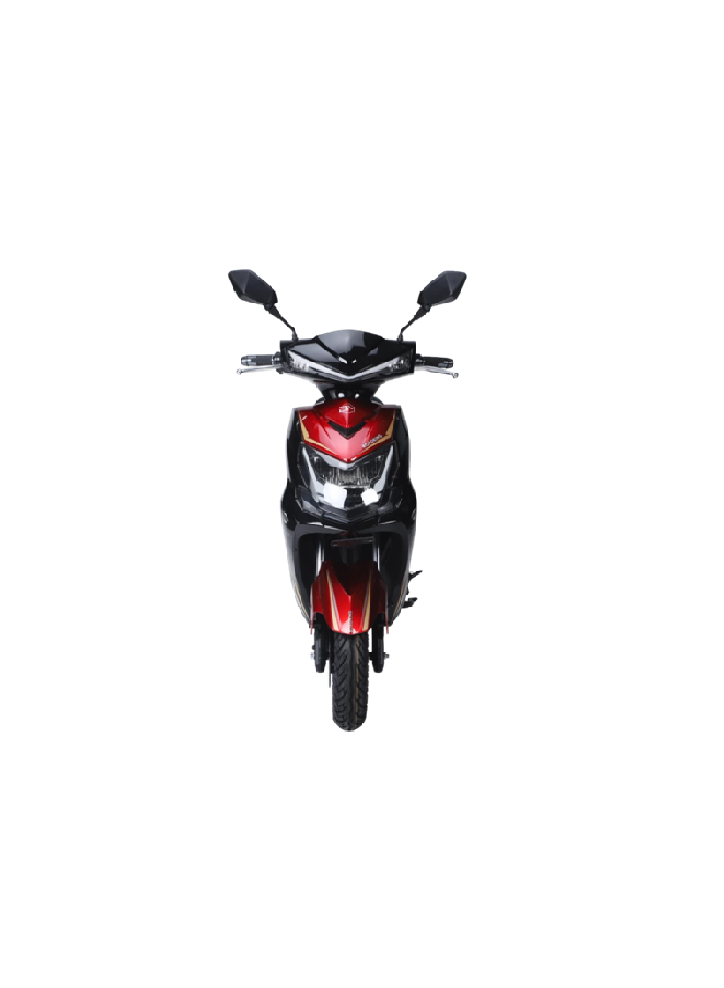 Alice E-bike Roadking